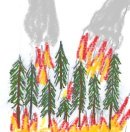 forest fire