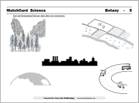 ecology worksheet