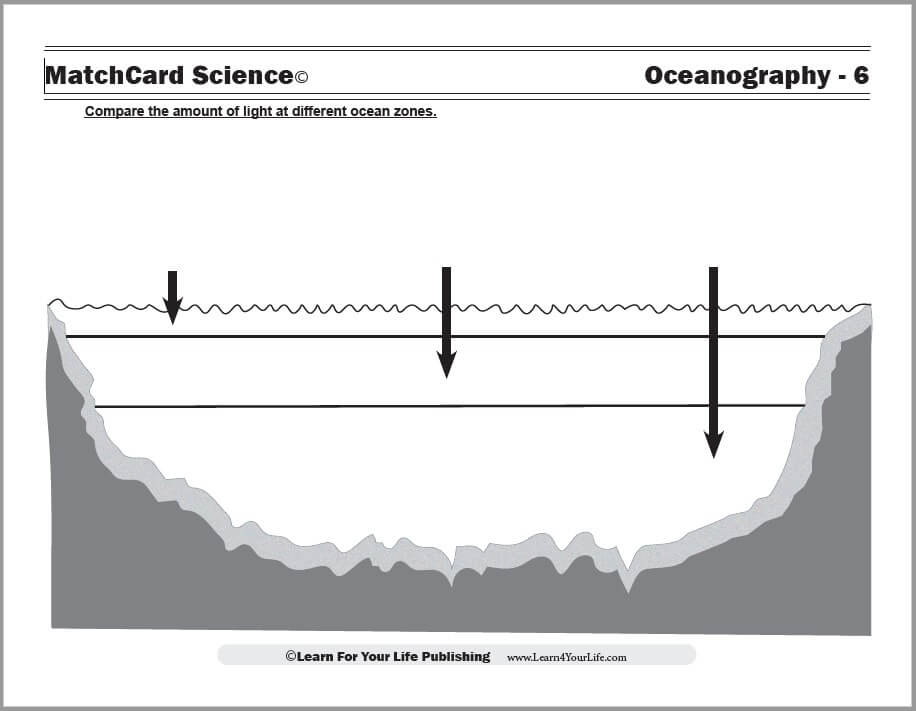 ocean zones