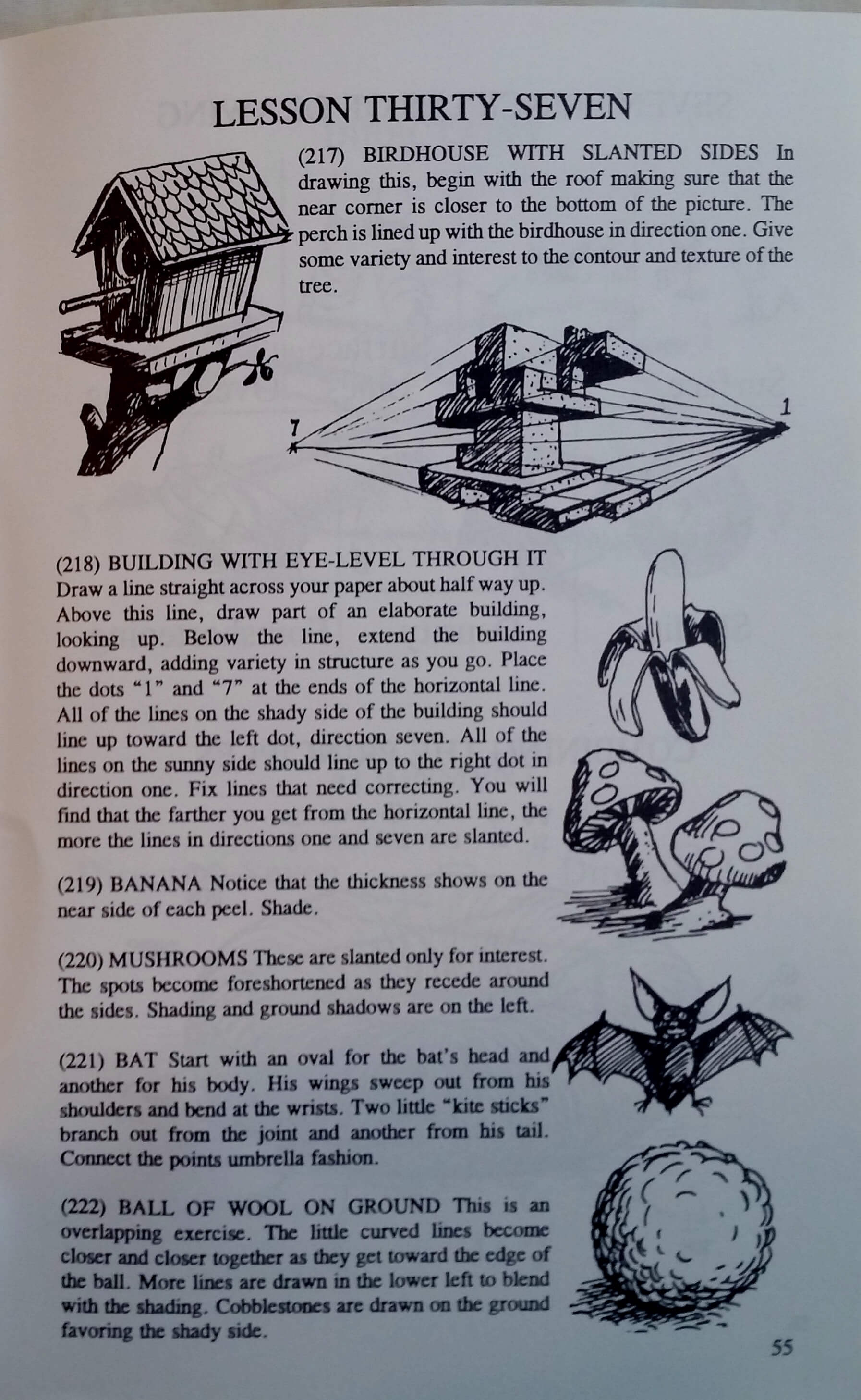 drawing textbook lessons