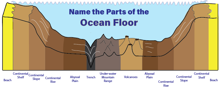 Ocean Floor, Overview, Features & Diagram - Video & Lesson Transcript