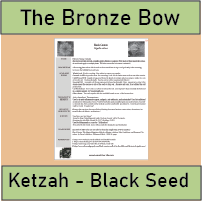 Ketzah Black Seed Oil