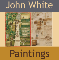 John White Native Paintings